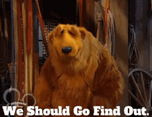 Bear In The Big Blue House We Should Go Find Out GIF - Bear In The Big Blue House We Should Go Find Out Lets Find Out GIFs