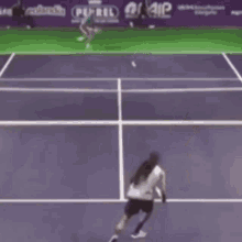 Dustin Brown Tennis GIF