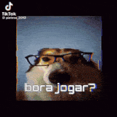 a dog wearing glasses and the words bora jogar