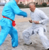 Kung Fu Nuts GIF - Kung Fu Nuts Kung Fu Training GIFs