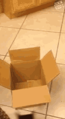 Goodbye Jumping Into The Box GIF - Goodbye Jumping Into The Box Cat Lulz GIFs