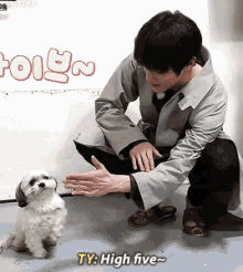 Taeyong Pet GIF - Taeyong Pet High Five GIFs
