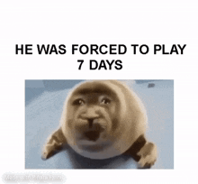 7 Days To Die Crying Seal Meme GIF