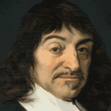 Descartes Sedierta GIF - Descartes Sedierta GIFs
