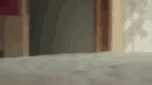 a person is standing on a bed in front of a door .