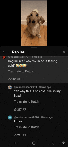 a picture of a dog with a hat on its head is being displayed on a phone screen