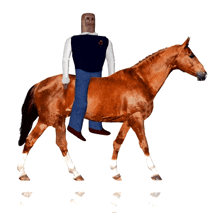 Horse Riding GIF - Horse Riding GIFs