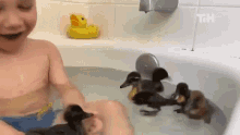 Swimming This Is Happening GIF - Swimming This Is Happening Duck GIFs