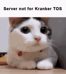Server Not For Krunker Tos GIF - Server Not For Krunker Tos GIFs