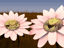 a couple of pink flowers with a picture of a person on them