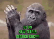 Monkey Tetris Record GIF - Monkey Tetris Record New GIFs