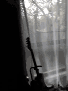 Raining Lizard Guitar GIF - Raining Lizard Guitar Curtain GIFs