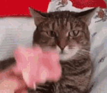 Scared Funny GIF - Scared Funny Monday GIFs