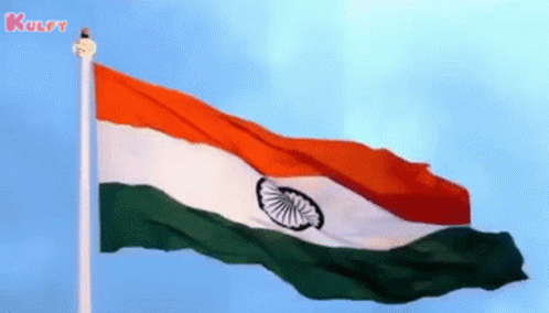 National Flag Flag GIF – National Flag Flag India – GIFs entdecken und ...