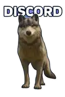 a drawing of a wolf with the word discord behind it