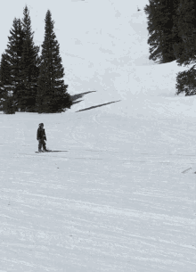Wipeout Ski GIF - Wipeout Ski Faceplant GIFs