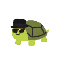a cartoon turtle wearing sunglasses and a black hat