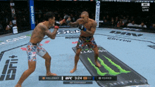 two fighters are fighting in a ufc ring with bud light on the side