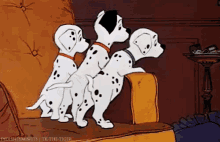 101dalmatians puppies tailwag 101 dalmatians