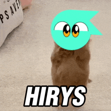 a picture of a cat with a cartoon face and the word hirys below it