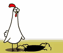 Chicken Bro Chicken GIF - Chicken Bro Chicken Shame GIFs