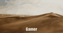 Gamer Server GIF - Gamer Server GIFs