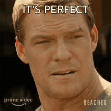 Its Perfect Jack Reacher GIF - Its Perfect Jack Reacher Alan Ritchson GIFs