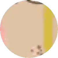 a circle with a yellow stripe on it