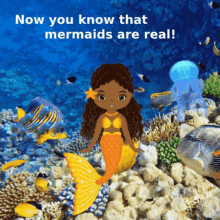 Animated Mermaid Memes GIF - Animated Mermaid Memes Mermaid Memes GIFs