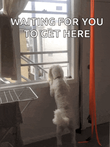 Waiting For You GIF - Waiting For You GIFs