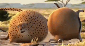 Fat Cheetah Bouncing GIF - Fat Cheetah Bouncing - Discover & Share GIFs