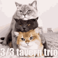 Tavern Trio Whore Zone GIF - Tavern Trio Whore Zone Jacqnya GIFs