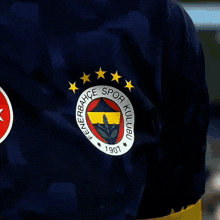 Dzeko Fenerbahçe GIF - Dzeko Fenerbahçe GIFs