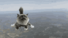 Tranquille GIF - Tranquille GIFs