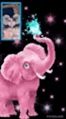 Elephant Pink GIF - Elephant Pink GIFs