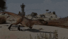a couple of dinosaurs standing next to each other in a field