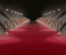 Gryis Red Carpet GIF - Gryis Red Carpet Maugie GIFs