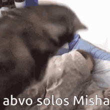Abovlate Mostro Lounge GIF - Abovlate Mostro Lounge Misha GIFs