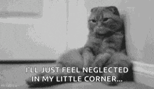 a black and white photo of a cat sitting in a corner with a caption .