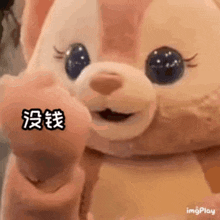 a close up of a stuffed animal with chinese writing on it pointing at the camera .