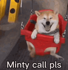 Minty Call Pls GIF - Minty Call Pls GIFs