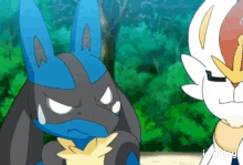 lucario angry cinderace