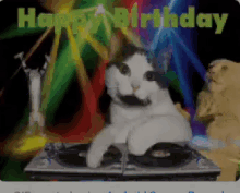 Happy Birthday Cats GIF - Happy Birthday Cats Party Hard GIFs