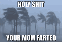 Your Mom Yo Mama GIF - Your Mom Yo Mama Your Mom Farted GIFs