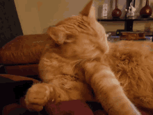 Cleaning Lick GIF - Cleaning Lick Stay Clean GIFs