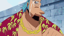 Franky Crying GIF - Franky Crying GIFs