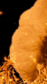 a close up of a fire with a black background
