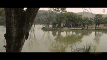 a large body of water surrounded by trees and mountains with a tree in the foreground