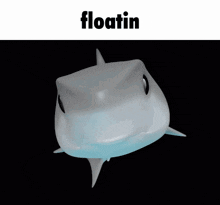Shark Shark Memoji GIF