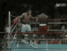 GIF